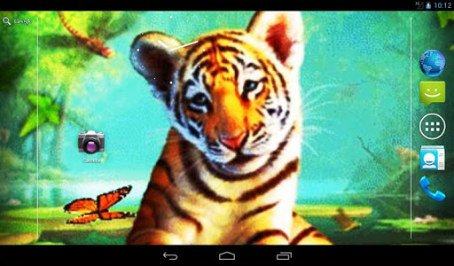 【免費個人化App】Little Tiger Live Wallpaper-APP點子