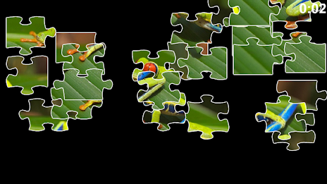 Frog Jigsaw Puzzles poster 2
