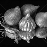 B&W still life1 by Asif Bora -  