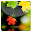 Autumn HD LiveWallpaper Download on Windows