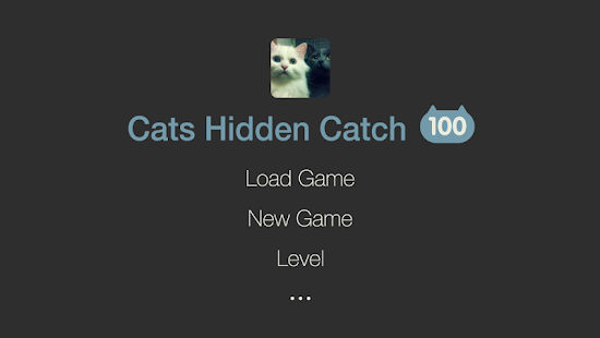 Cats Hidden Catch 100