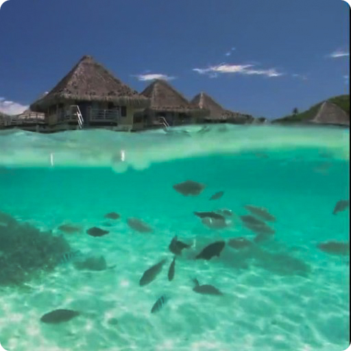 Lagoon Waves Live Wallpaper Hd Apps En Google Play