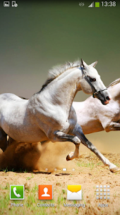 Download Horses Live Wallpaper APK for Android