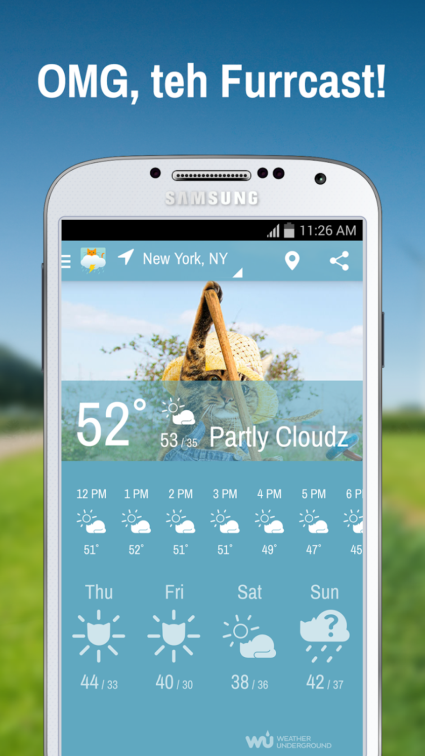 Weather Whiskers App &amp; Widget Screen 2