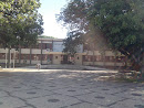 Instituto De Educação