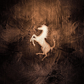 Ferrari HD wallpapers logo