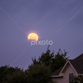 The earth's shadow by Daniel Douriet - News & Events Science