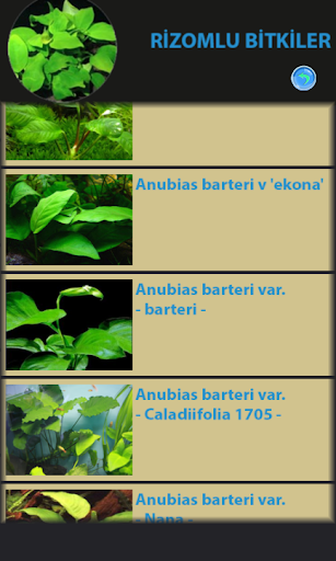 【免費工具App】Akvaryum Bitkileri Klavuzu-APP點子