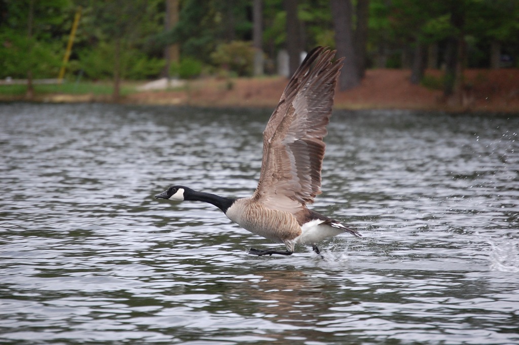 [DSC_0224[2].jpg]