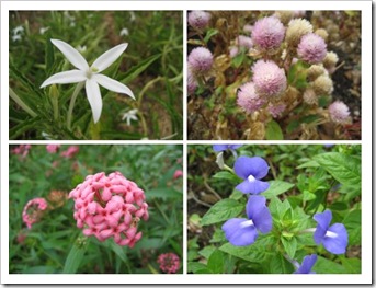 southernridgesflowers1