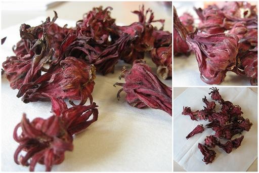 [roselle buds[5].jpg]