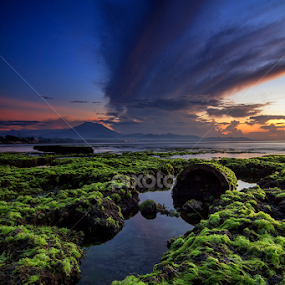 waiting vain by Eri van Purusha - Landscapes Sunsets & Sunrises