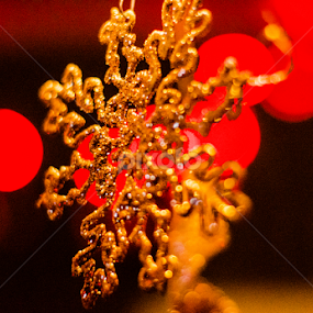 by Angelo Perrino - Public Holidays Christmas