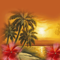 Hawaii SunSet Live Wallpaper logo