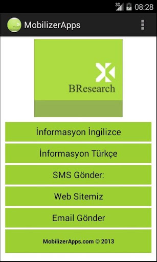 BResearch International