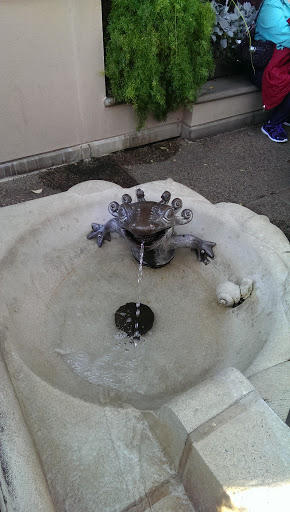 Salamander Fountain