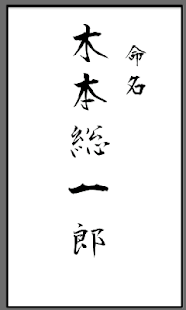 Android application 命名 Name Your Baby Pro screenshot