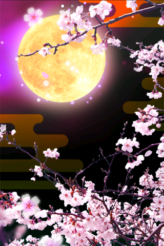 月夜桜 ライブ壁紙