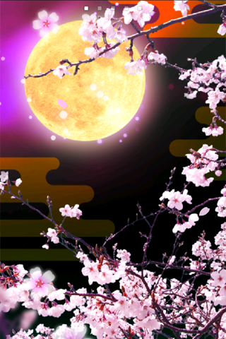 高 画質 夜桜 桜 かっこいい 壁紙 Udin