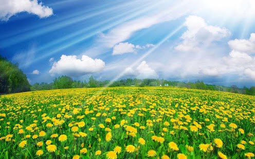 download Nature Wallpaper free
