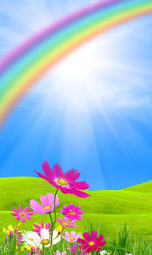 Rainbow Colors Wallpaper