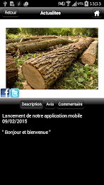 sfd firewood poster 3