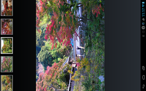 Autumn leaves of Kamakura Screenshots 1