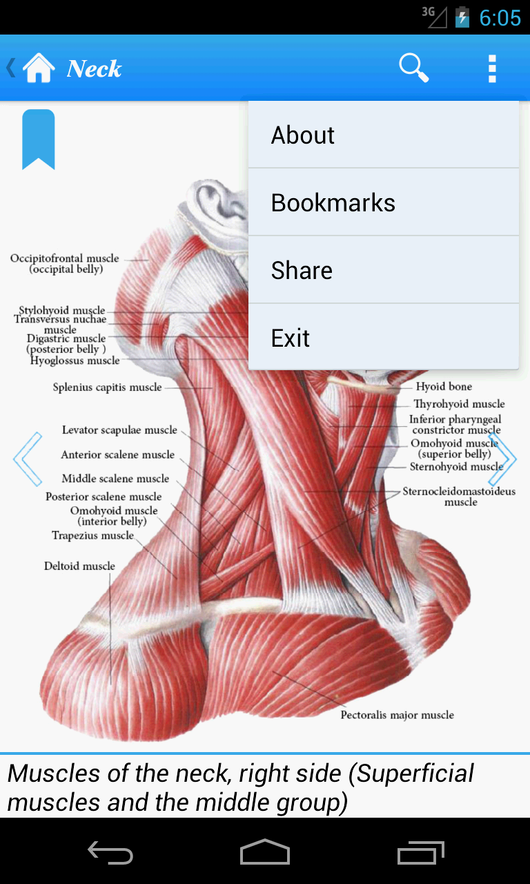 Human Anatomy I Screen 3