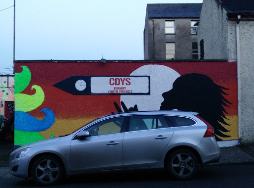 CDYS Fermoy Youth Project Mural