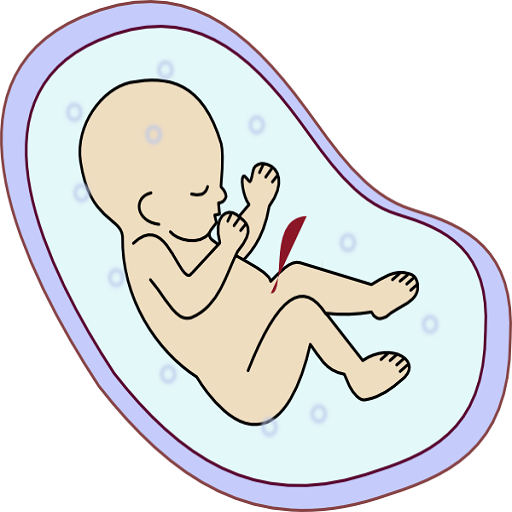 Expecting Baby & Pregnancy App 健康 App LOGO-APP開箱王