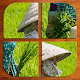 Vietnam jigsaw puzzles APK