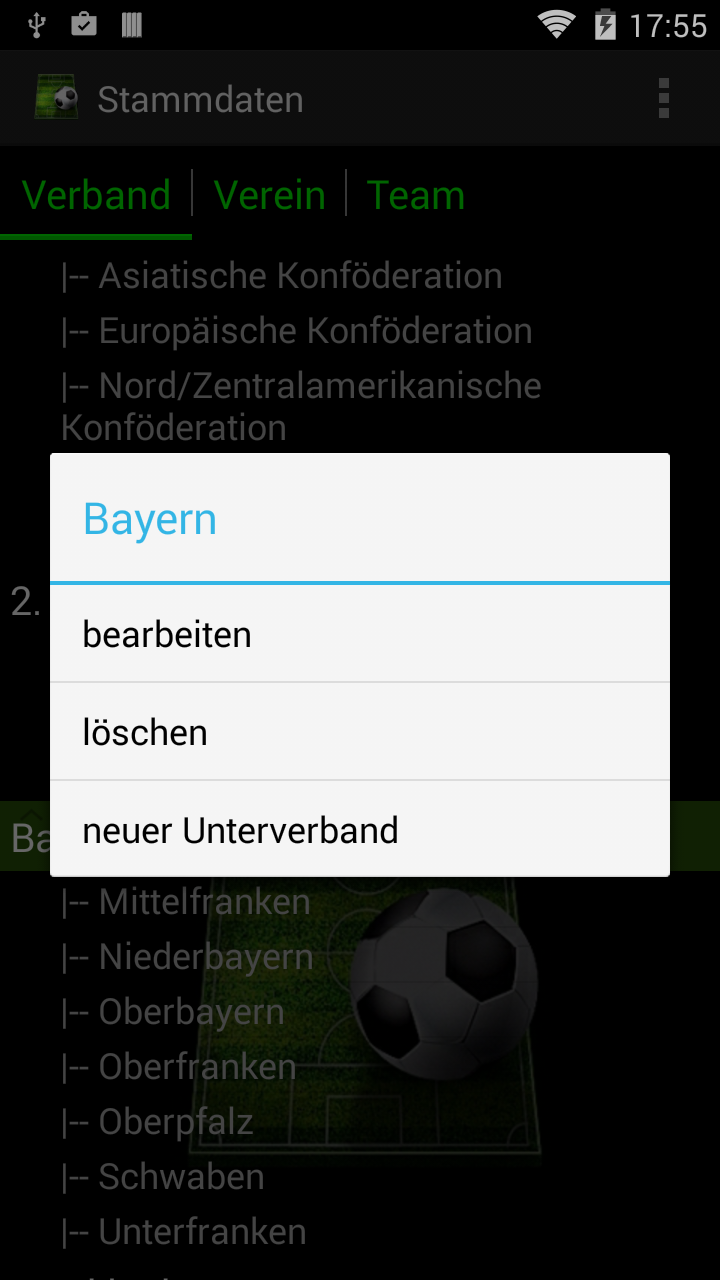 Soccer Tournament Manager Screen 3