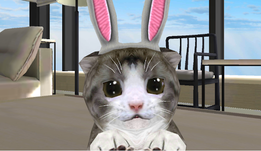 download ChoCho Cat free