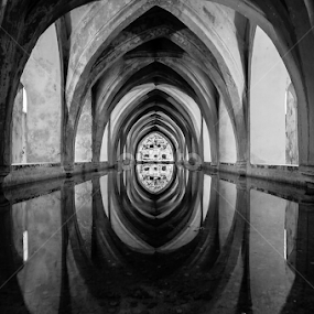 Refelction of Perfection by Erian Andre - Black & White Buildings & Architecture