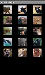 Free Animal Sounds Screenshots 1