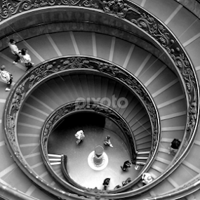 Vatican Staircase by Nick Schroeder - Buildings & Architecture Other Interior