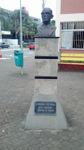 Busto de Pedro Feu Rosa  