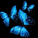 Glitter Butteflies Live Wallpa logo