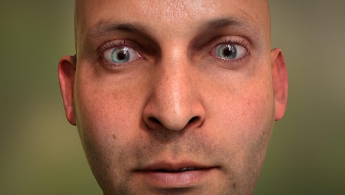 Android application NVIDIA Tegra FaceWorks Demo screenshort