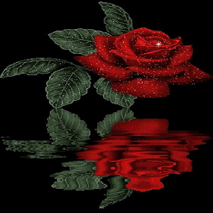 Reflective Red Rose Live Wall.apk 26