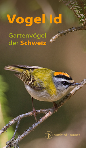 Vogel Id Schweiz - Gartenvögel