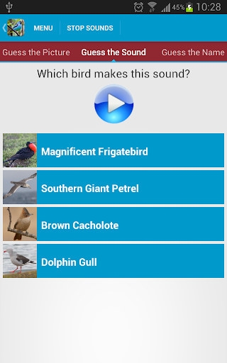 【免費教育App】South American Birds Free-APP點子