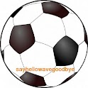 African Football 2013 Ad Free logo
