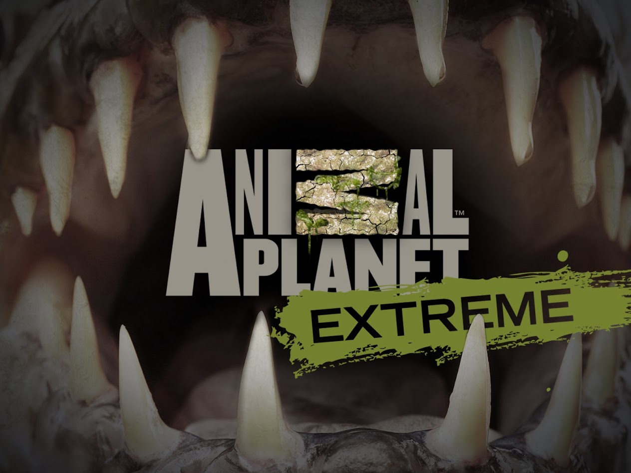 Animal Extreme Movies & TV on Google Play