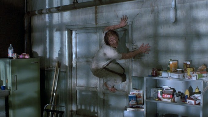 Awesome Joy Boushel Images