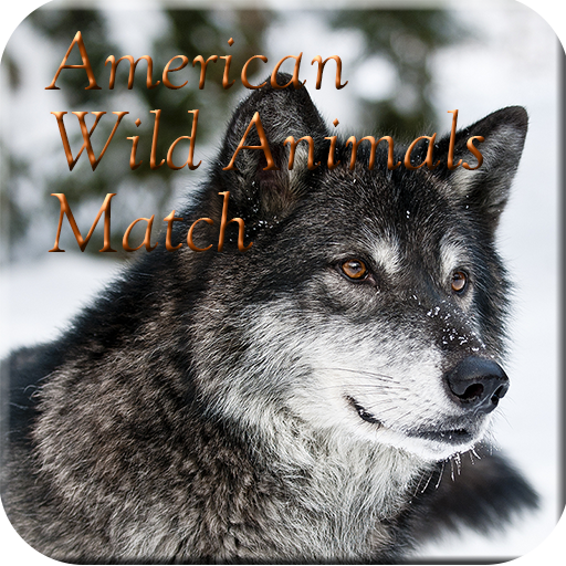 American Wild Animals Match LOGO-APP點子