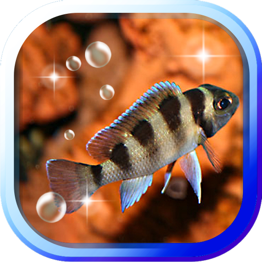 Aquarium Fish live wallpaper LOGO-APP點子