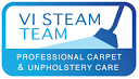 VI Steam Team logo