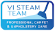VI Steam Team logo