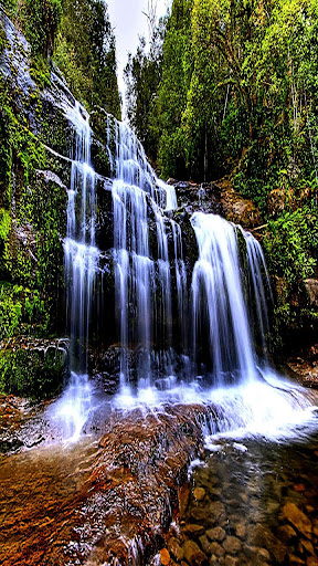 Jungle Waterfall Live Wallpape